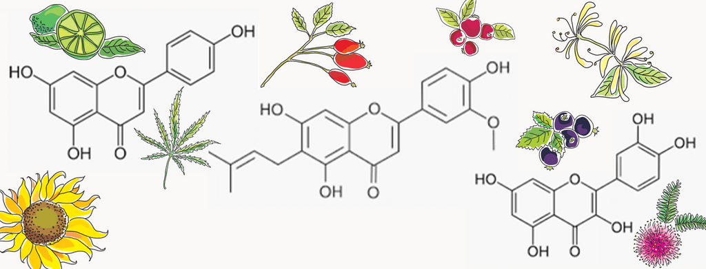 terpenes & bioflavonoids in skincare – what are they and how do they affect your skin?